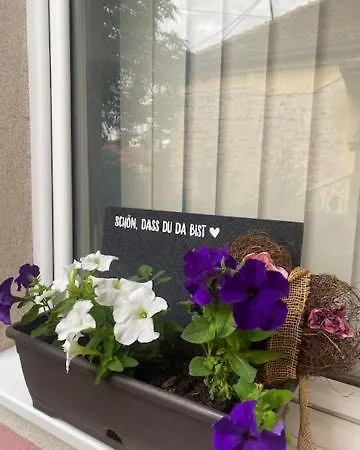 Mili Apartment Pozarevac
